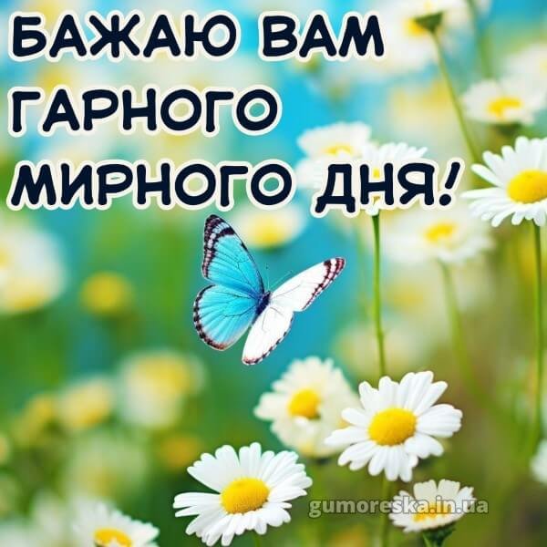 Dobrogo-ranku-mirnogo-neba-kartinki-ukrayinskoyu-4