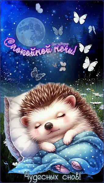 b2669c3493a067ca2cb5bf