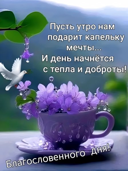 Доброе утро!