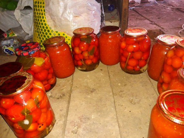 IMG 20250723 162535 864