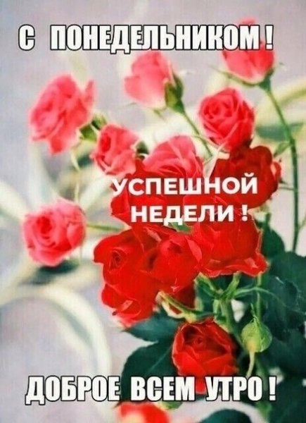 С понедельником!