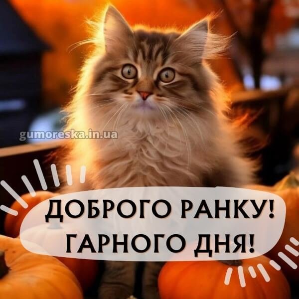 Dobrogo-ranku-garnogo-dnya-kartinki-7