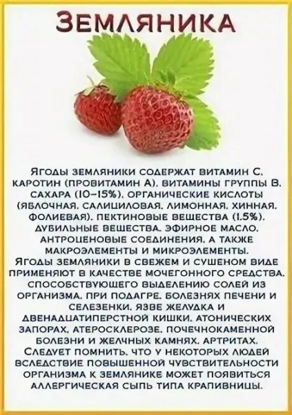 Земляника