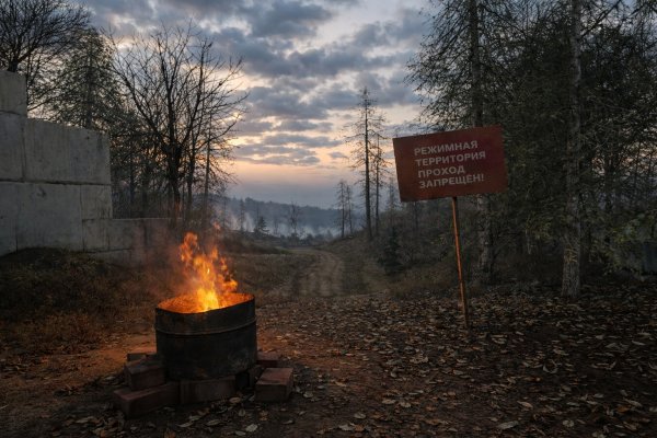 С.Т.А.Л.К.Е.Р. 1984