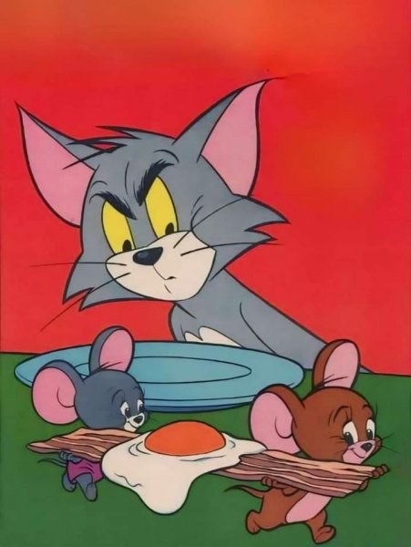 FB IMG 1723971696772