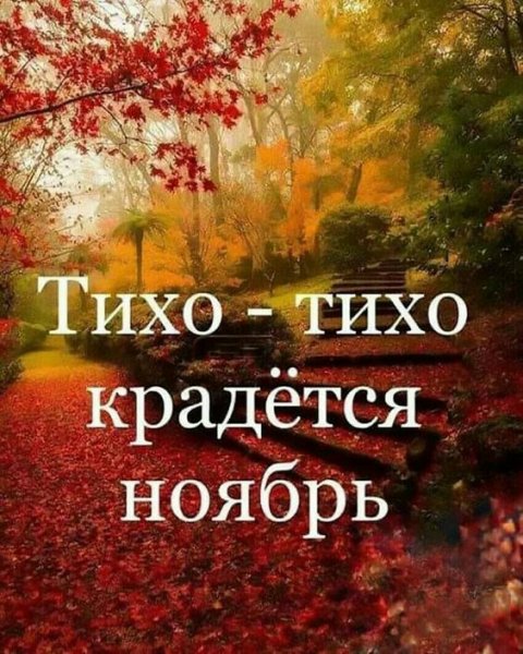 Тихо - тихо крадётся ноябрь