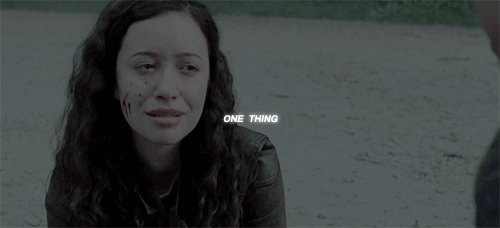 tumblr ofk245sMSV1tui2xro3 500