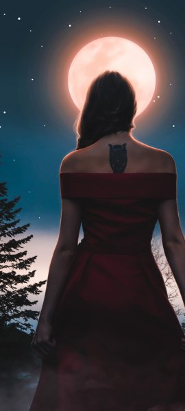 Android Wallpaper (143)