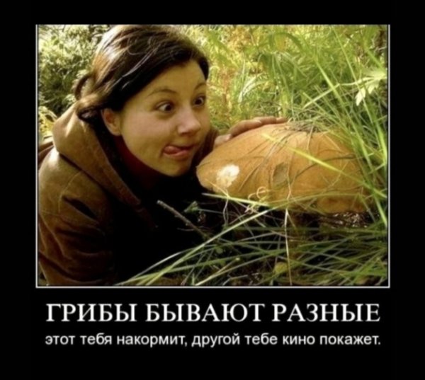 Screenshot 20250425 040648 Gallery