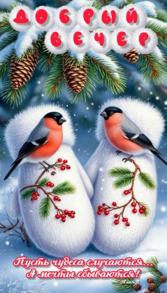 39f6f8386234df3cd38da402fe973cd5