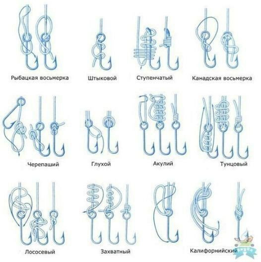 IMG 20231108 091716 509