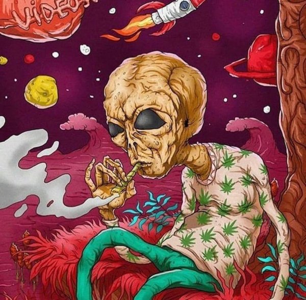 photo 2019-01-25 07-57-51