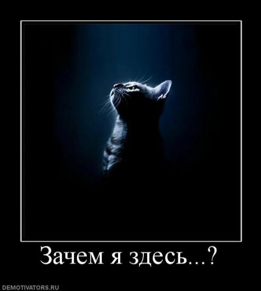pics
