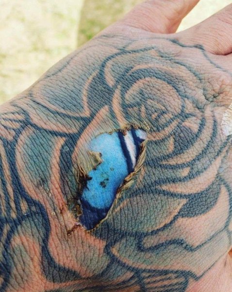 tatu1