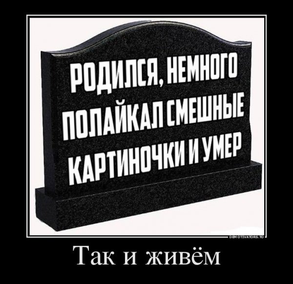 A6zLS3j zyM