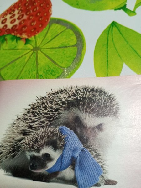 IMG 20260210 184400 291