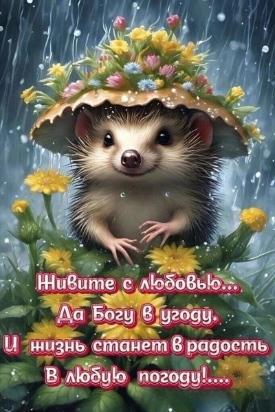 C29aa7dbdb73a0eb943efb91ac76b867