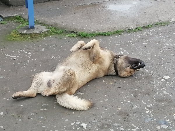 БаудёжЪ..