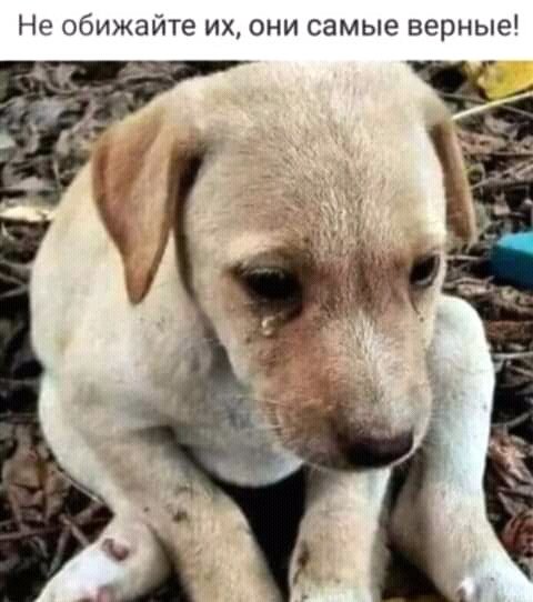 FB IMG 16190896751729093