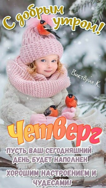 Друзья мои!