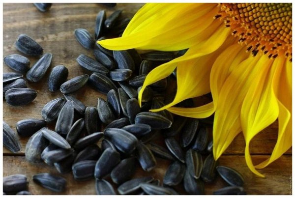 IMG 20251208 190845 389