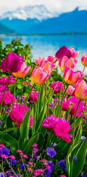 Арт Природа