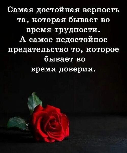 Верные слова!