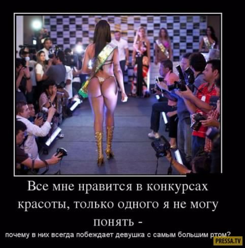 picture_232658911
