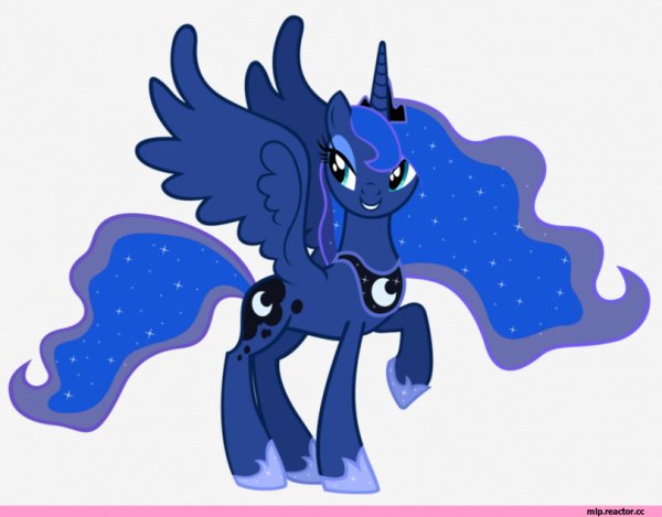 mlp-other-royal-157635
