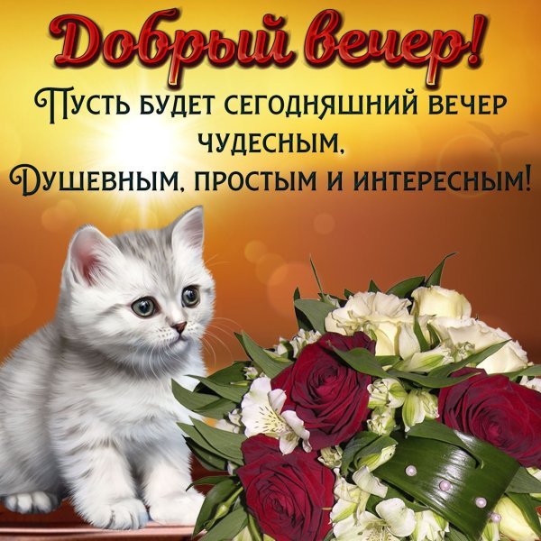 Dobrogo-vechera-s-kotyatami