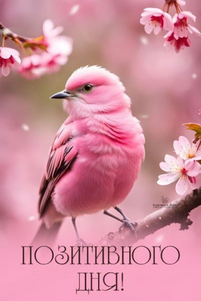 IMG 20260323 041533 526