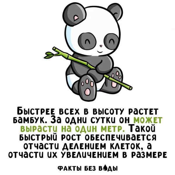 IMG 20251114 164500 802