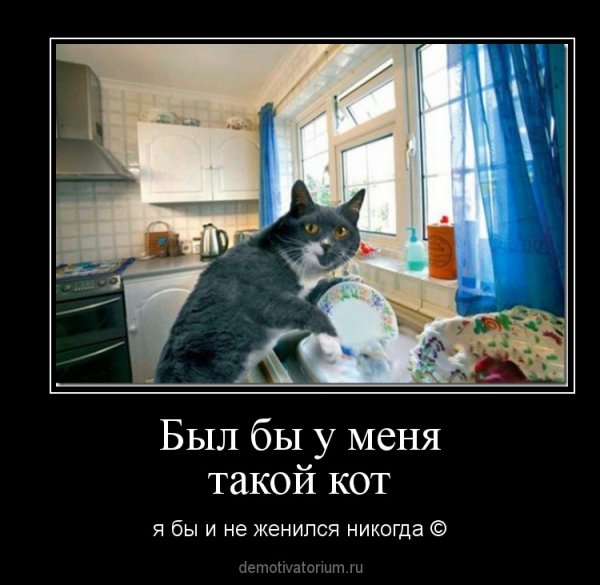 pics