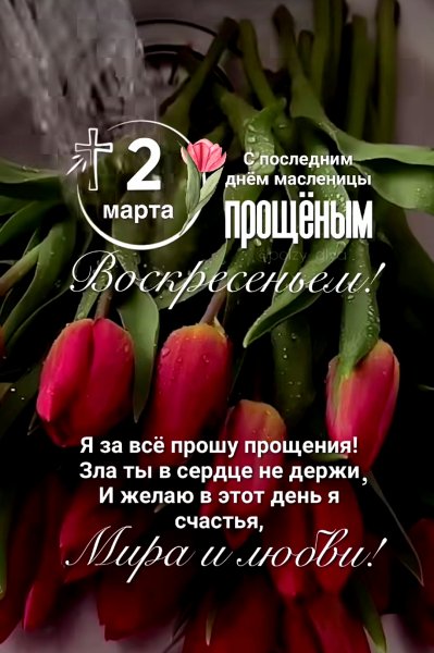 picture_382732472