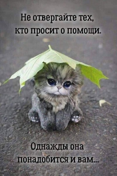 FB IMG 1626590538333