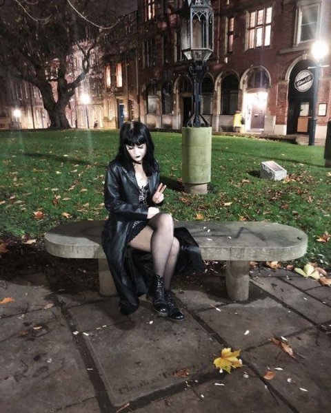 picture_383179047
