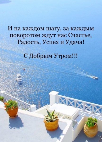 Друзья мои!!!