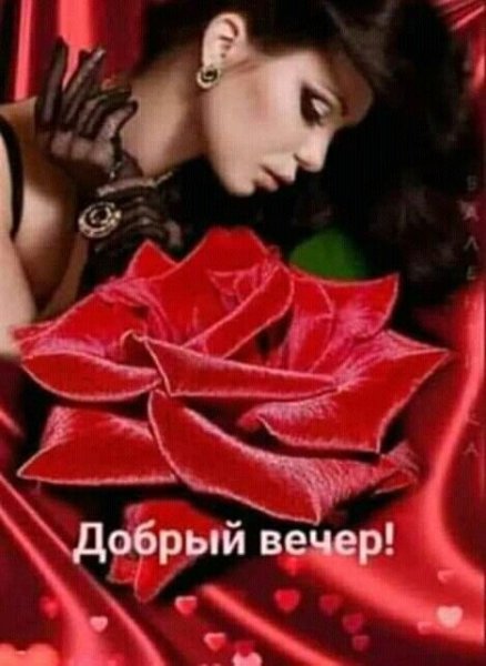 Добрый Вечер Друзья!