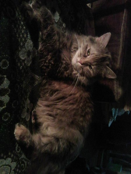 Photo0440