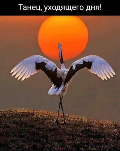 Смешные картинки ~71