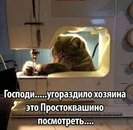 dcbf7fa 20417865