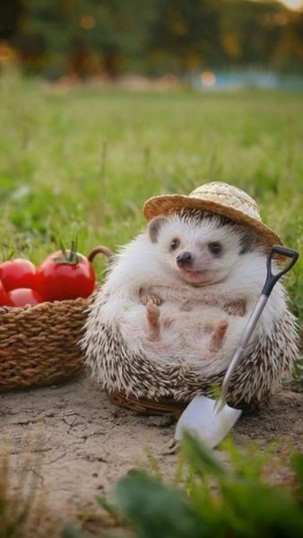 Acb5c182d2aa1028aafc2104b5b7dd08