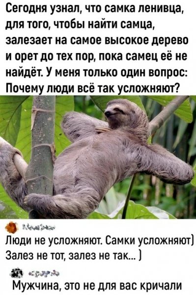 Юмор