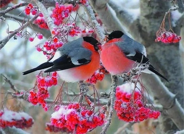 image (3) - 2020-07-15T021240.105