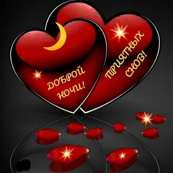 46f9b9500c243b5317706c4830ad7fe1