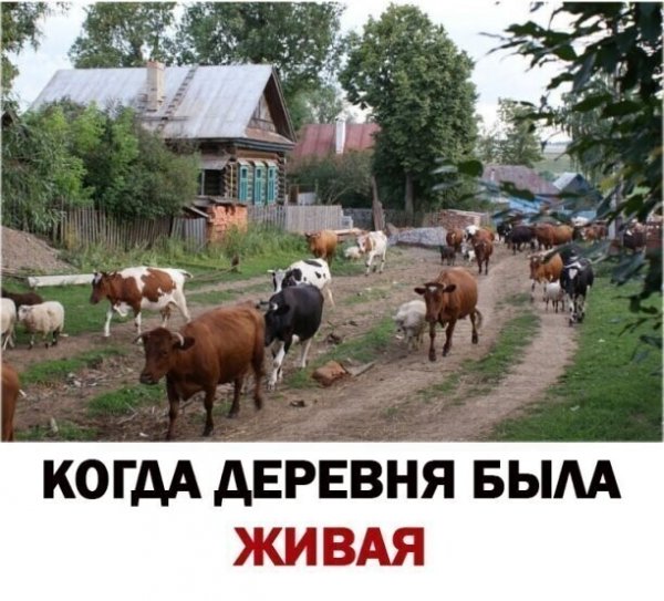 IMG 20220710 145859