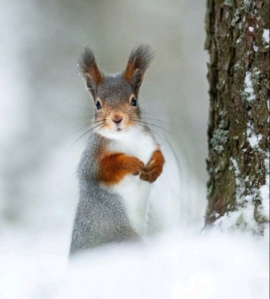 Screenshot 20211220 174742