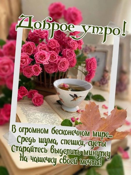 IMG 20260214 055742 475