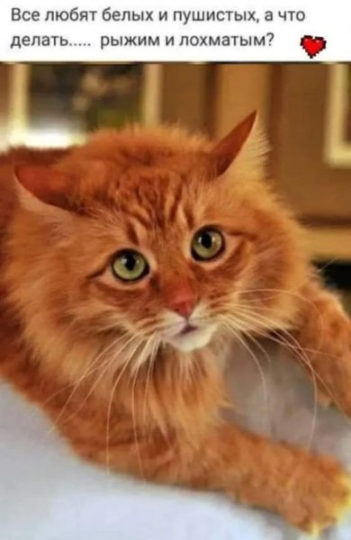 6aa4af2e99 ogromnyj-sbornik-jumora-dlja-podnjatija-nastroeni