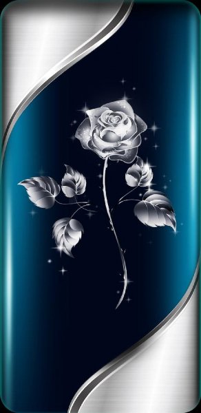 Silver Rose-1f370cb1-7854-4ad2-b08e-c55ba8c4c3e9